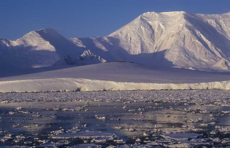 North and south, changes to polar ecology racking up