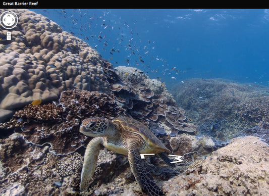 Novel Photography from The Barrier Reef