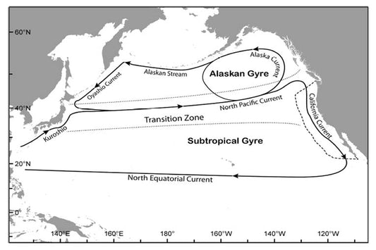 Major Pacific study reveals top predators homing in on ocean's sweet-spots