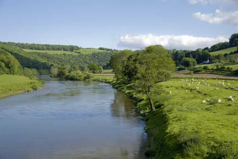 Our Rivers campaign launches survey to identify best UK rivers for wildlife