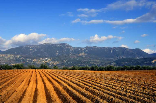 Ploughing into the effect of crop tillage on greenhouse gas emissions