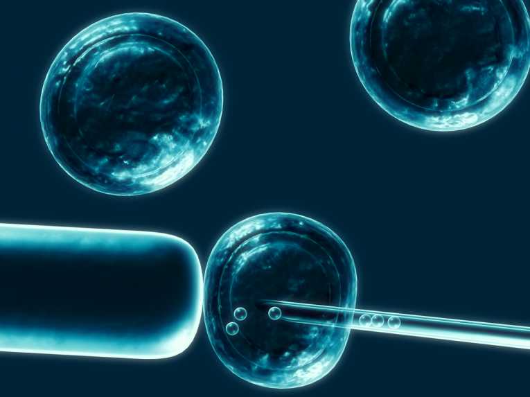 Review due into Australian Stem Cell Research Legislation