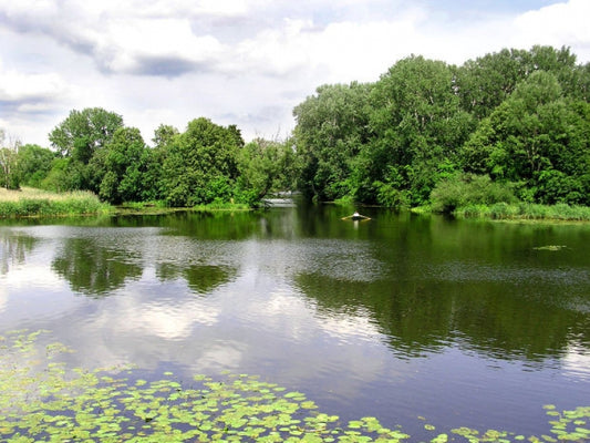 Good clean water as UK rivers enjoyed great decade