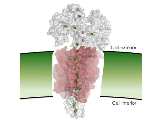 Rock-breathing bacteria to power microbial batteries?