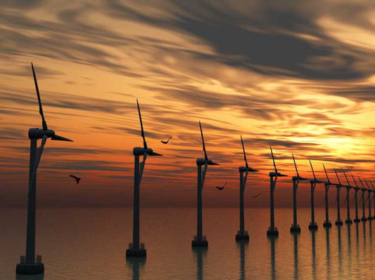 The effect of wind turbines on bats