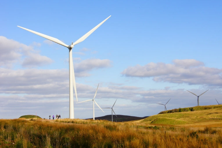 Scottish Government pledges to boost renewables in agriculture sector