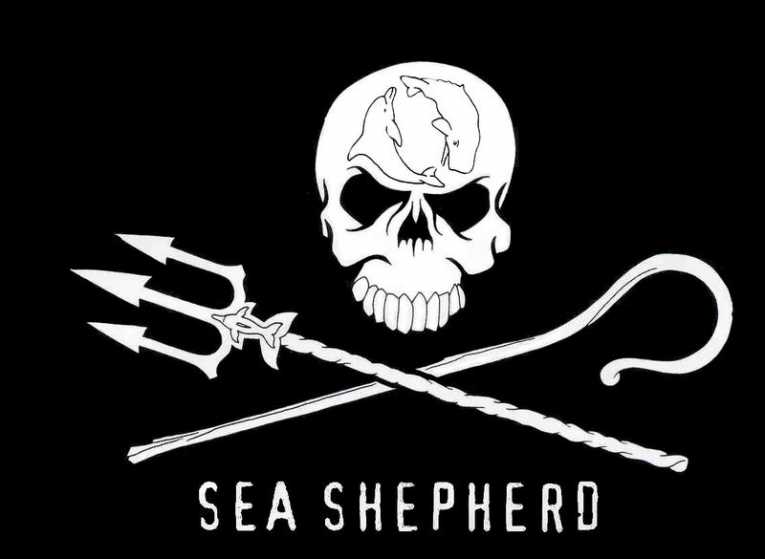 Sea Shepherd launches fresh attack on Japanese whalers with 'Godzilla'