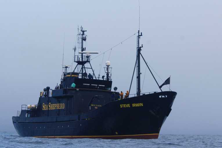 Campaign to save anti-whaling ship