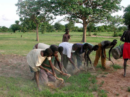 From soil to clouds: African farmers benefit from improved rainstorm predictions