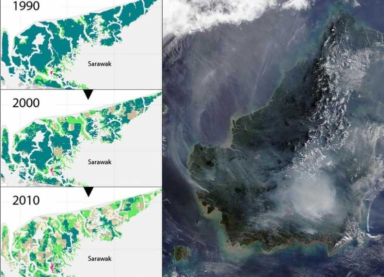 Southeast Asia's Tropical Peatlands could Disappear by 2030