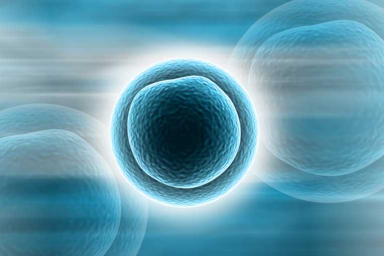 Stem cell research: Two steps forward, one step back