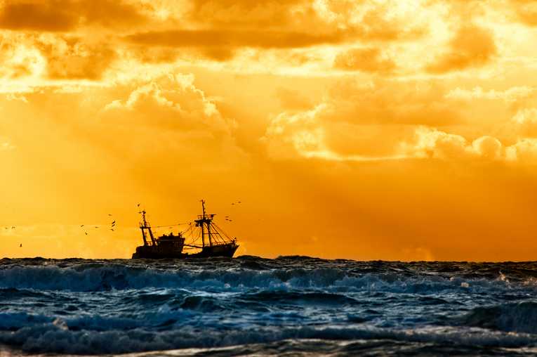 Global effort needed to stop deep sea 'pirate' fishing