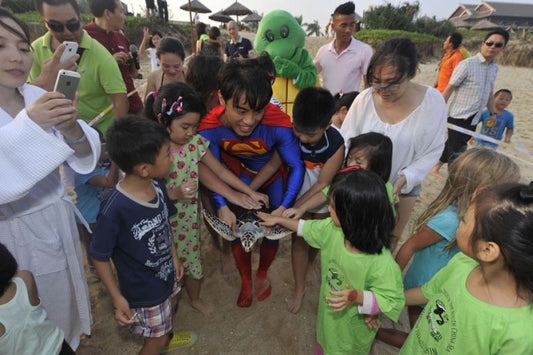 Superman releases turtle after plastic ingestion.