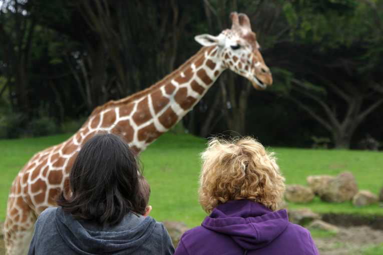 The Earth Times Asks: Are zoos a force for good or just plain cruel?