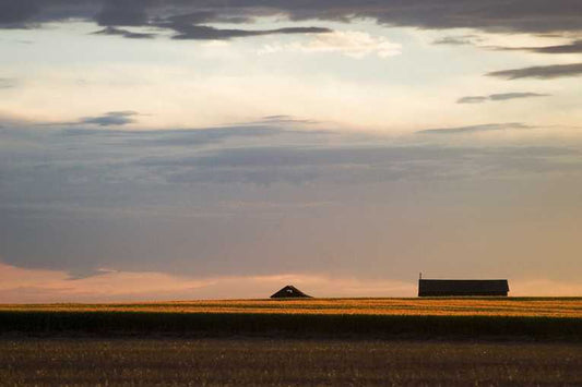 The Farmer's Share