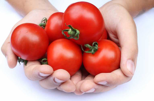 Tomatoes good for health - even on pizza - report confirms
