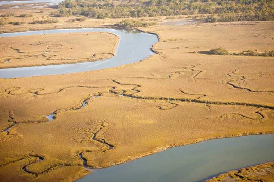 Unprecedented sea-level rise over 20th century pins down future of rising oceans