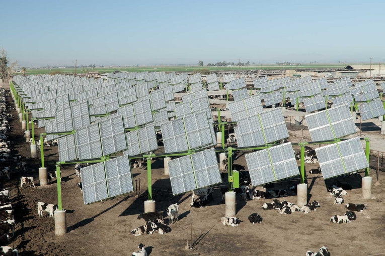 First cattle feedlot solar field and new e5 intelligent energy management system