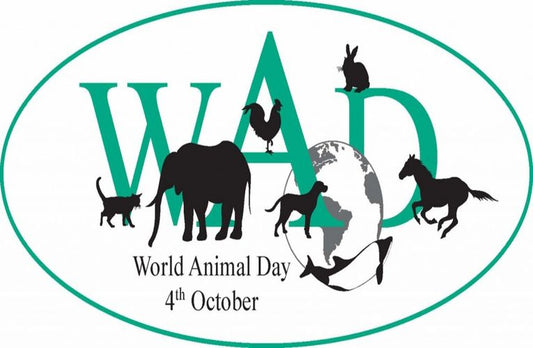 World Animal Day 2013