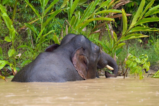 Water, Food and Air are not free