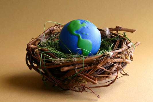 The week's environmental news roundup: September 23rd 2011