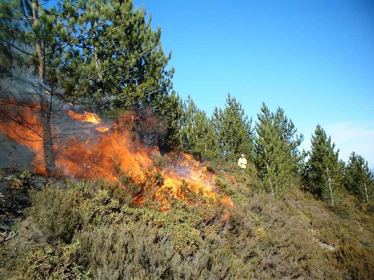 Northern Wildfires Threaten Runaway Climate Change