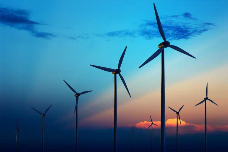 WWF backs planned £1 billion Scottish wind farm projects