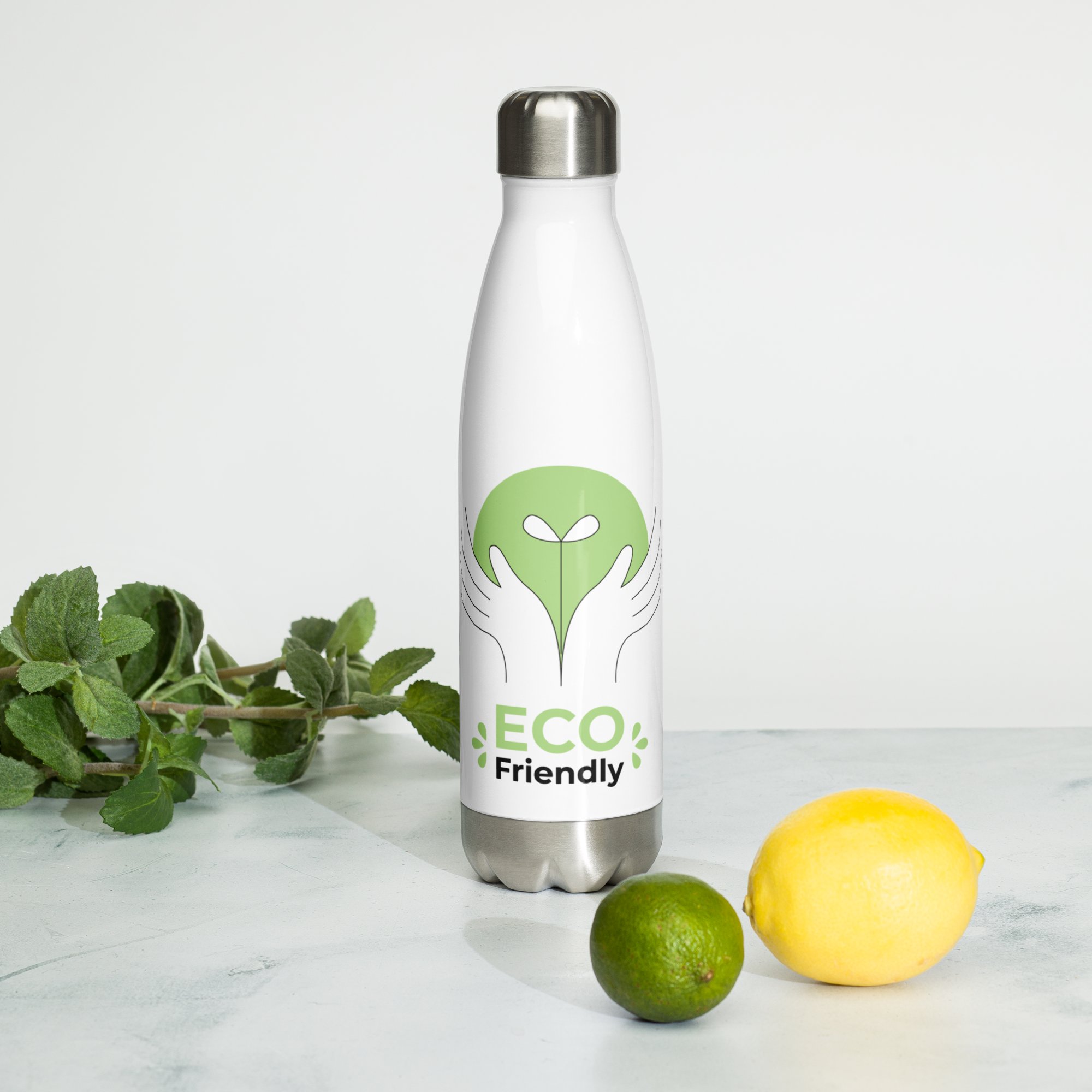 Eco Friendly Stainless Steel Water Bottle